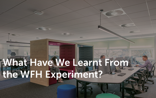 What Have We Learnt From the WFH Experiment?